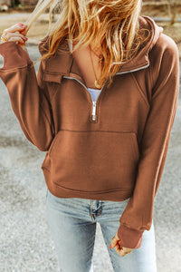 Thumbnail for Double Take Half-Zip Thumbhole Sleeve Hoodie